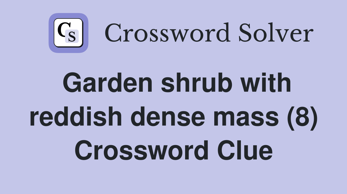 Garden shrub with reddish dense mass (8) Crossword Clue Answers